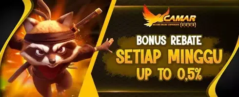 Bonus Rebate Slot 0.5% promotion image